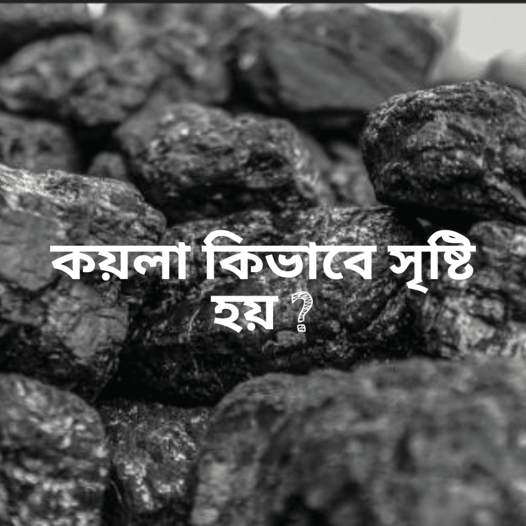 কয়লা কিভাবে সৃষ্টি হয়
